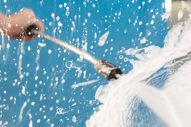Best Animal Enclosure Cleaning  in Clifton Forge, VA